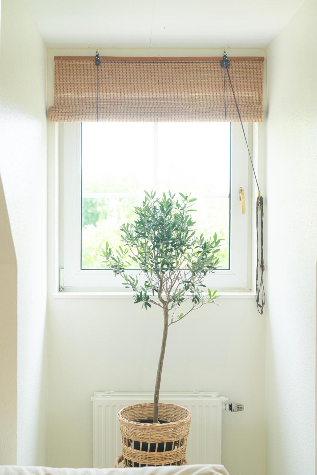 Falsterbo - Sea Breeze Apartment มัลเมอ ภายนอก รูปภาพ
